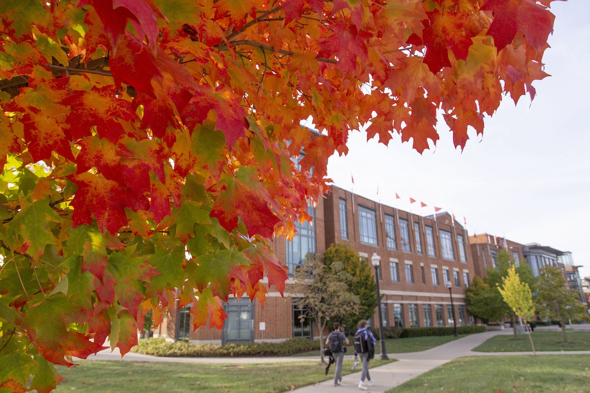 A picture of campus during the fall features orange and red leaves with a building in the background.